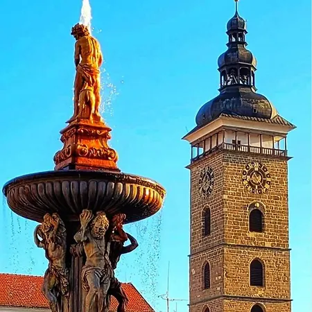 U Malse 12 Apartment *