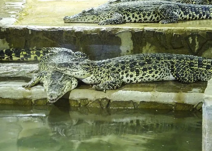 U Malse 12 아파트 *